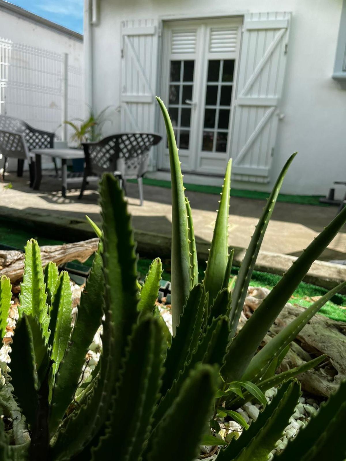 Jasmin - Appartement Face Plage Diamant Le Diamant Zewnętrze zdjęcie